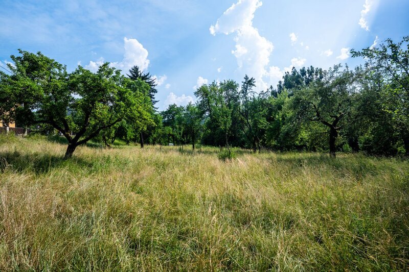 Stavební pozemek 2 790 m² | Valašské Klobouky | Výjimečný prostor pro rodinnou vilu i investici