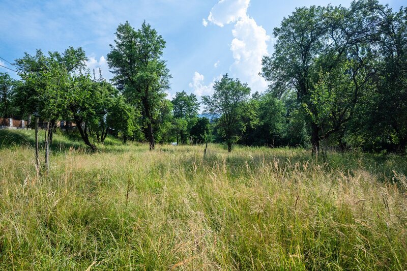 Stavební pozemek 2 790 m² | Valašské Klobouky | Výjimečný prostor pro rodinnou vilu i investici