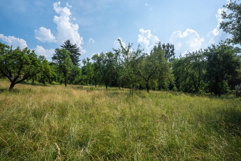 Stavební pozemek 2 790 m² | Valašské Klobouky | Výjimečný prostor pro rodinnou vilu i investici